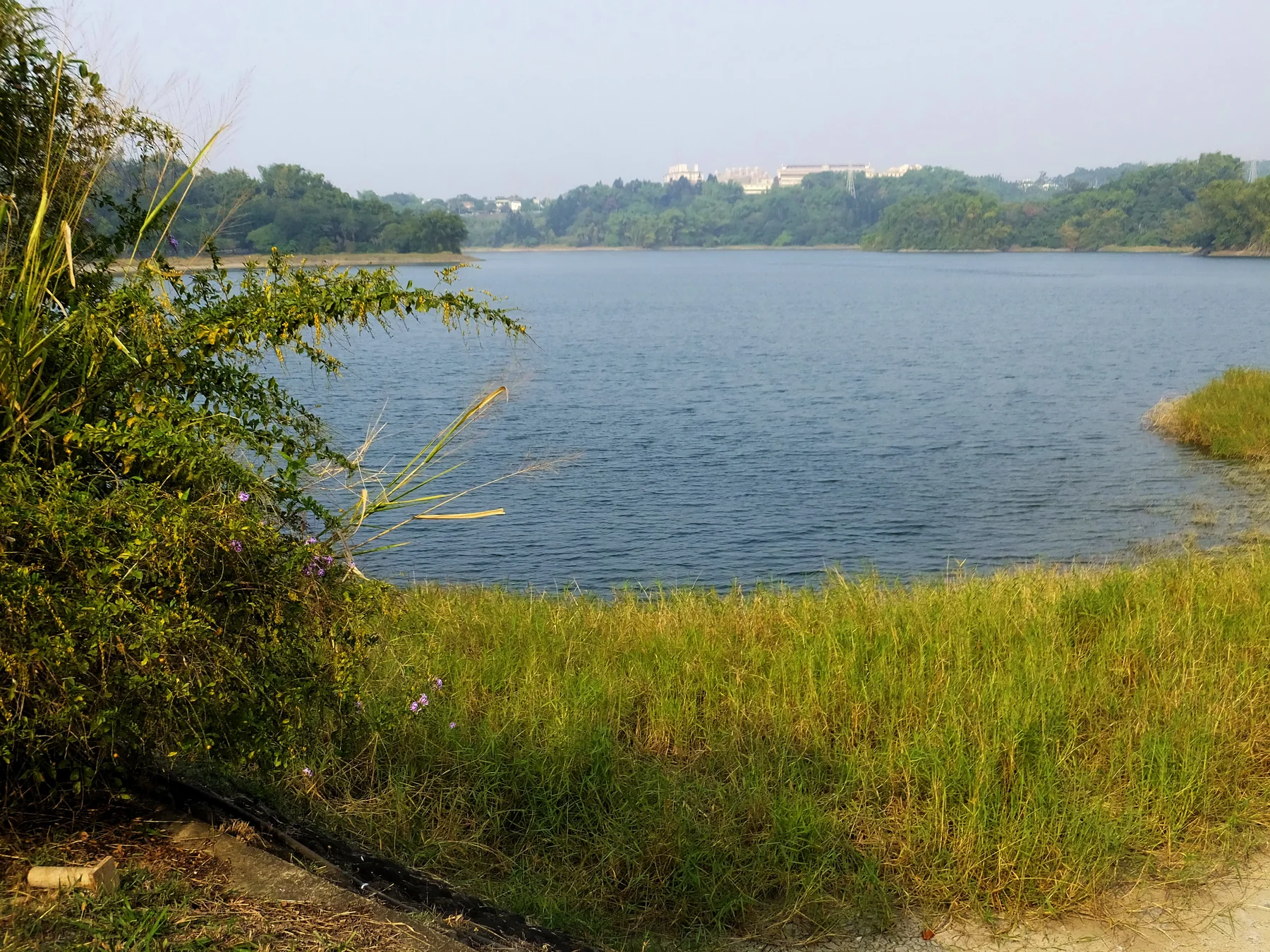 草坡前方的蘭潭湖景